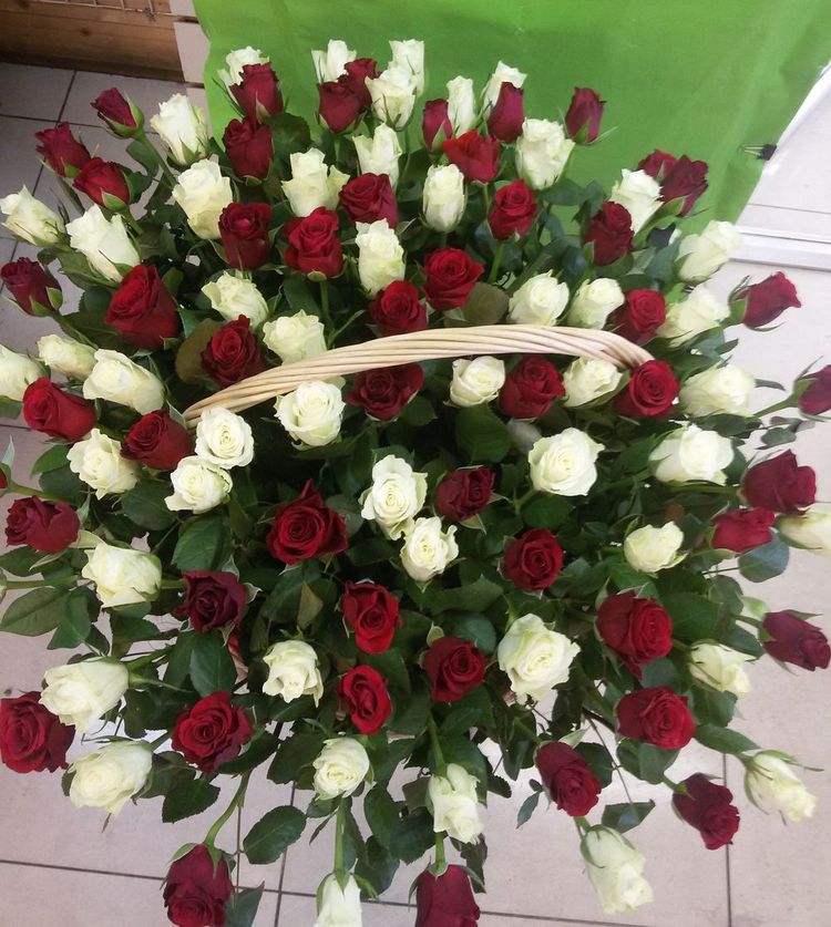 101 роза в корзине ,Кения, 40см